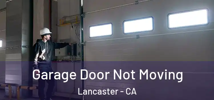  Garage Door Not Moving Lancaster - CA