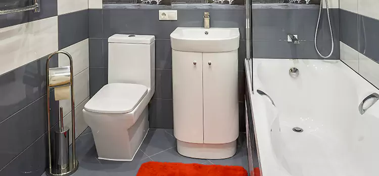 Hansgrohe Shaving Mirror Lancaster